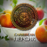 Табак WTO - Caribbean Blend (Персик) CB20 20 гр Табак WTO - Caribbean Blend (Персик) CB20 20 гр