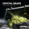 Табак Dark Side Core - Crystal Grape (Освежающий белый виноград) 30 гр Табак Dark Side Core - Crystal Grape (Освежающий белый виноград) 30 гр